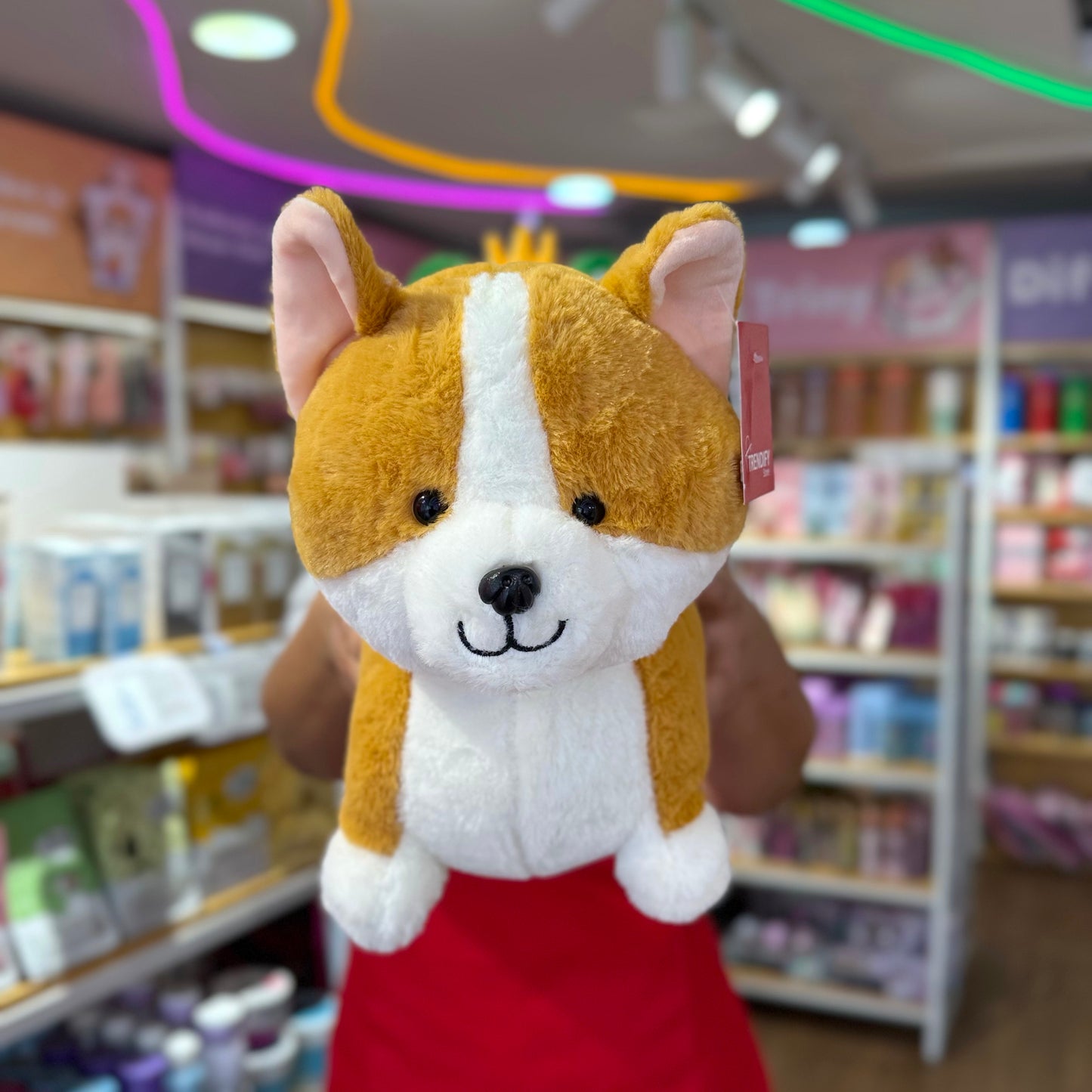 Peluche Perro Corgi
