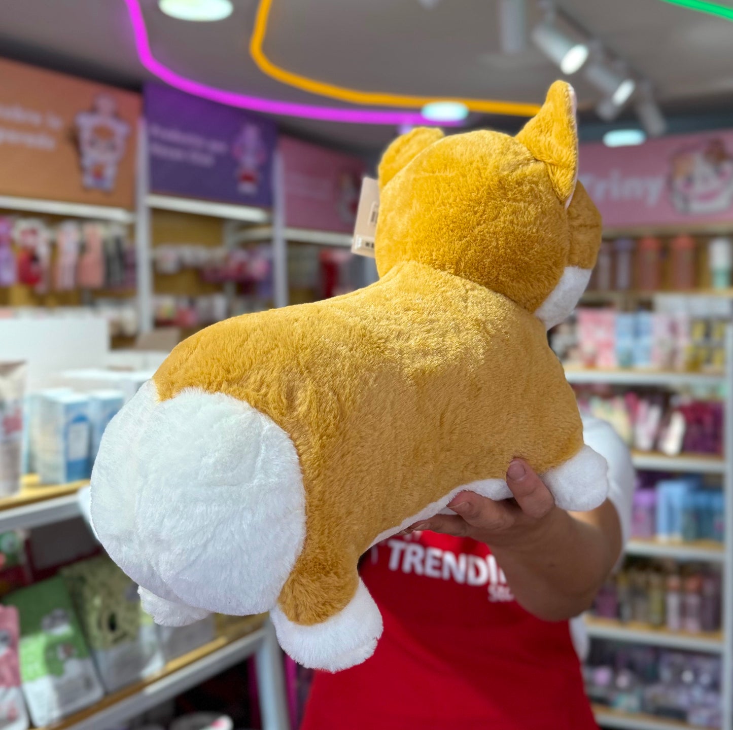 Peluche Perro Corgi