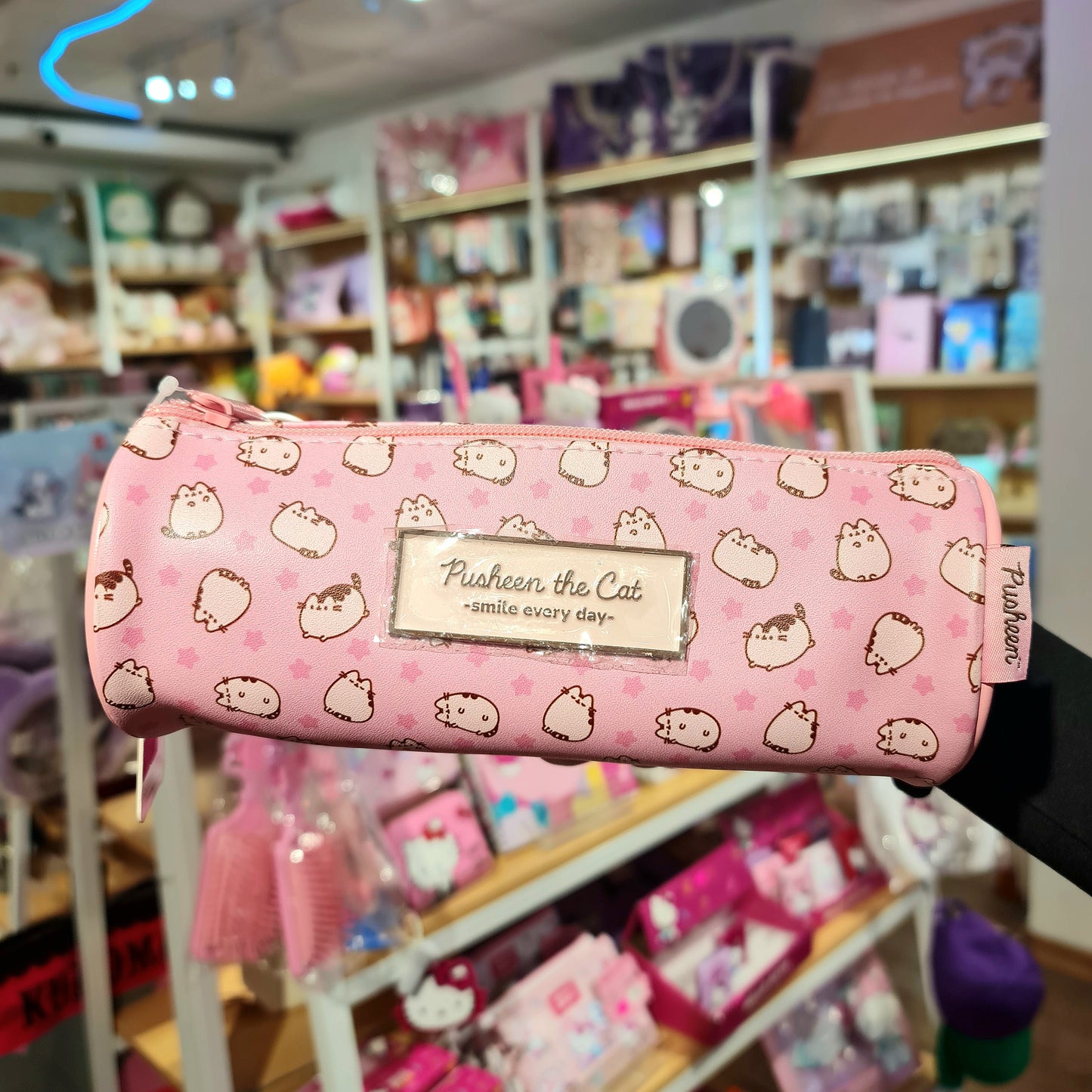 Estuche tubo Pusheen