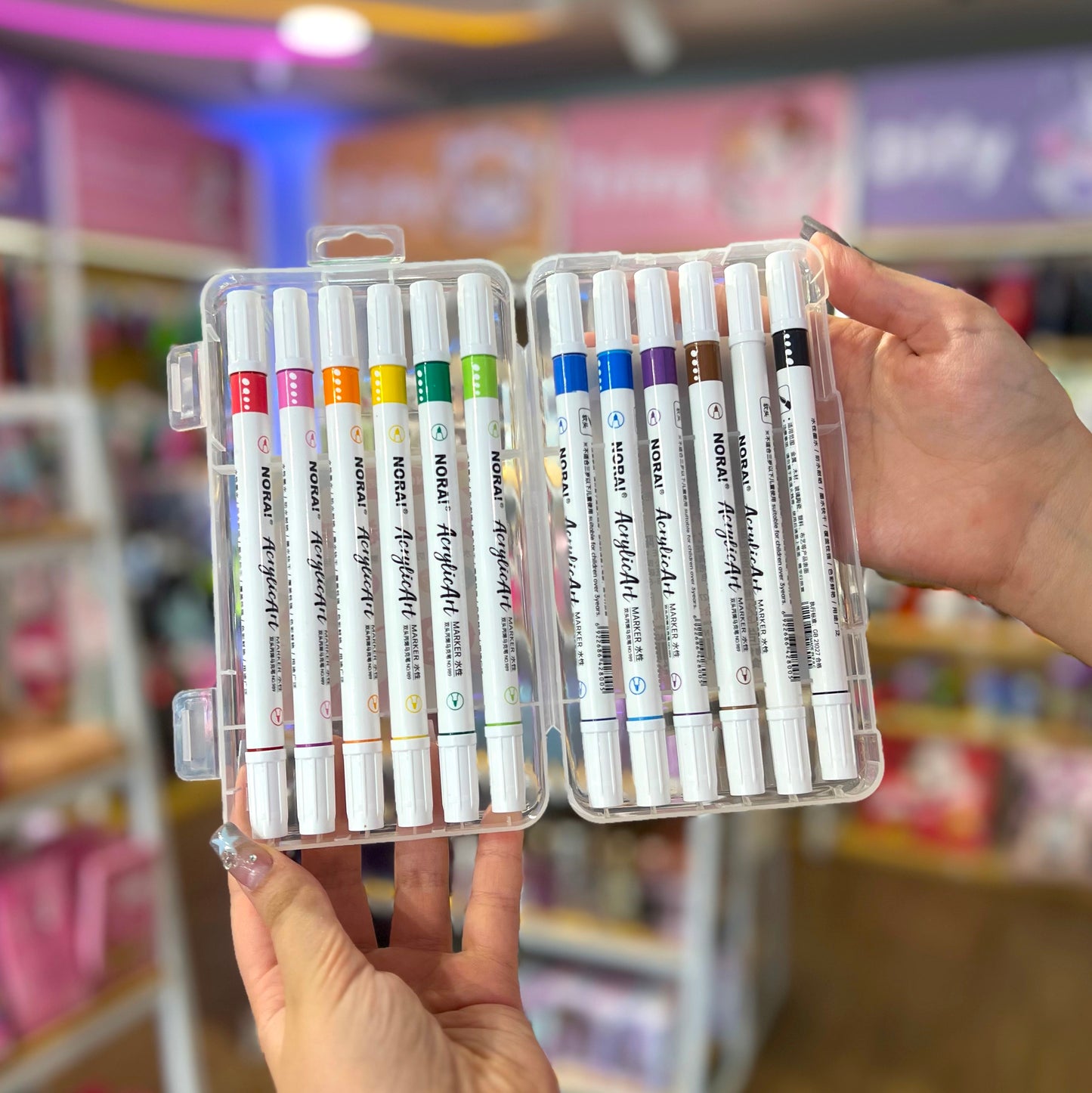 Plumones Acrílicos de Doble Punta (12 Colores)